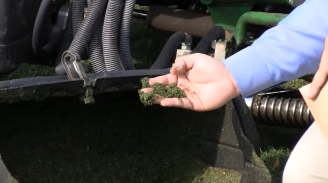 mower clippings for tissue sampling